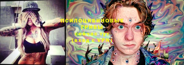 сатива Алексеевка